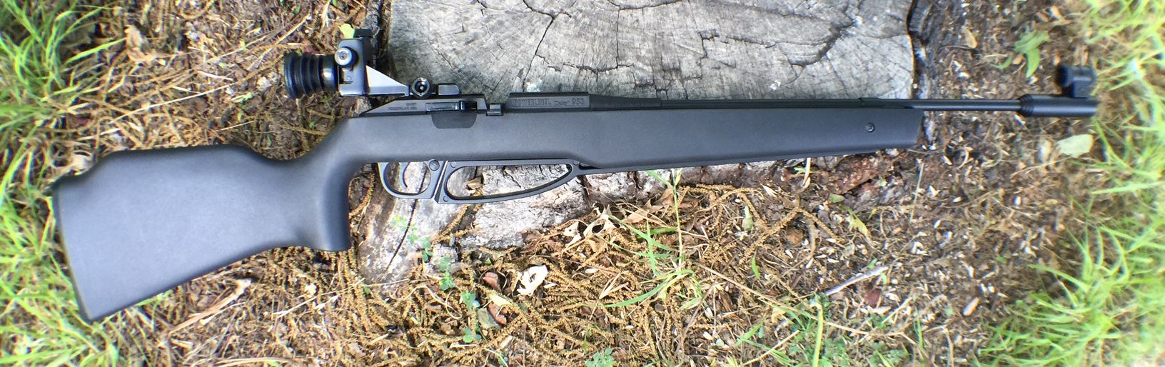 My Daisy 953 Target Pro Rimfire Central Firearm Forum